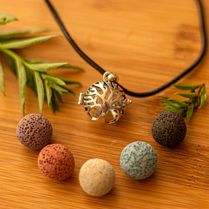 Tree of Life Bundle