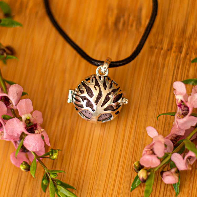 Tree of Life Bundle